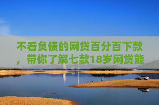 不看负债的网贷百分百下款，带你了解七款18岁网贷能下款的口子2025