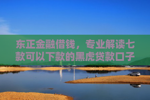 东正金融借钱，专业解读七款可以下款的黑虎贷款口子