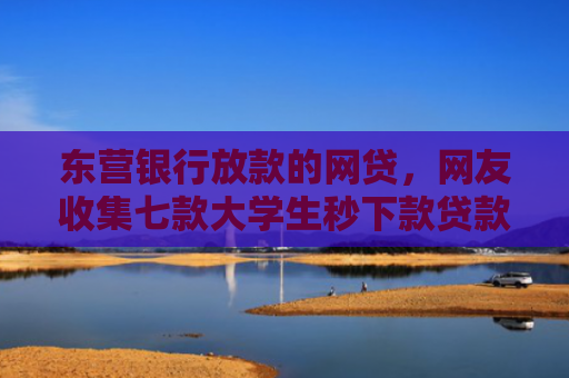 东营银行放款的网贷，网友收集七款大学生秒下款贷款口子6