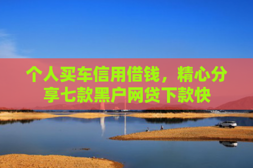 个人买车信用借钱，精心分享七款黑户网贷下款快