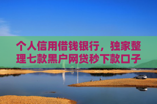 个人信用借钱银行，独家整理七款黑户网贷秒下款口子