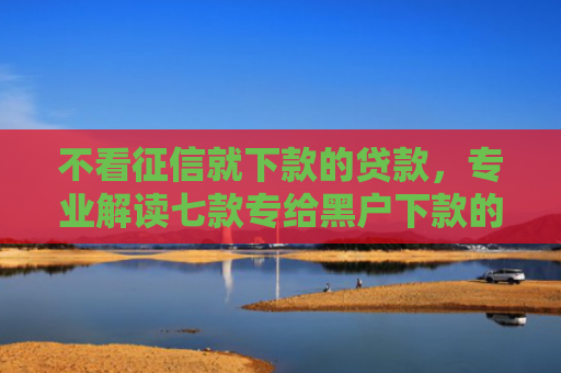 不看征信就下款的贷款，专业解读七款专给黑户下款的网贷口子