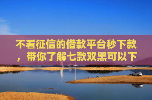 不看征信的借款平台秒下款，带你了解七款双黑可以下款的网贷口子