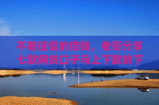 不看征信的借钱，老哥分享七款网贷口子马上下款的下载app