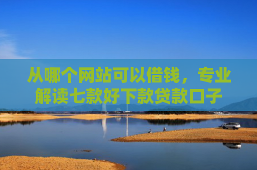 从哪个网站可以借钱，专业解读七款好下款贷款口子