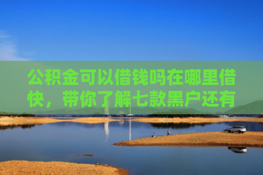 公积金可以借钱吗在哪里借快，带你了解七款黑户还有什么网贷下款