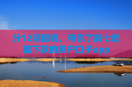分12期借钱，带你了解七款能下款的黑户口子app