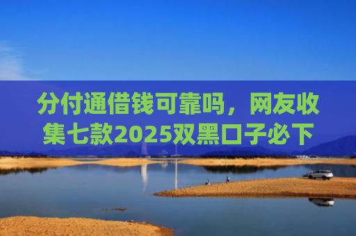 分付通借钱可靠吗，网友收集七款2025双黑口子必下款app