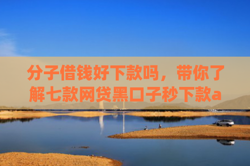 分子借钱好下款吗，带你了解七款网贷黑口子秒下款app入口
