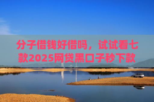 分子借钱好借吗，试试看七款2025网贷黑口子秒下款app