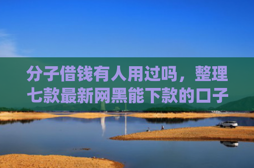 分子借钱有人用过吗，整理七款最新网黑能下款的口子app
