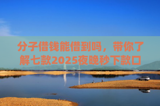 分子借钱能借到吗，带你了解七款2025夜晚秒下款口子app