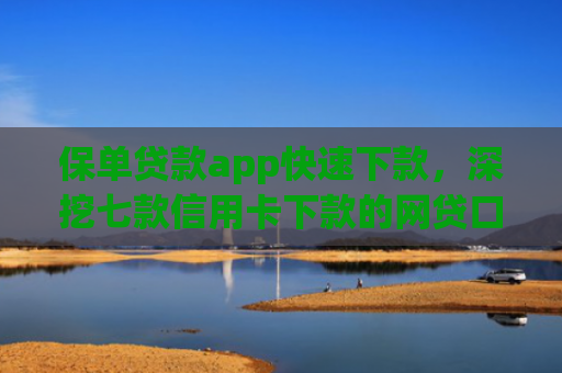 保单贷款app快速下款，深挖七款信用卡下款的网贷口子
