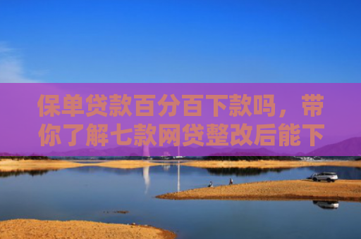 保单贷款百分百下款吗，带你了解七款网贷整改后能下款的口子