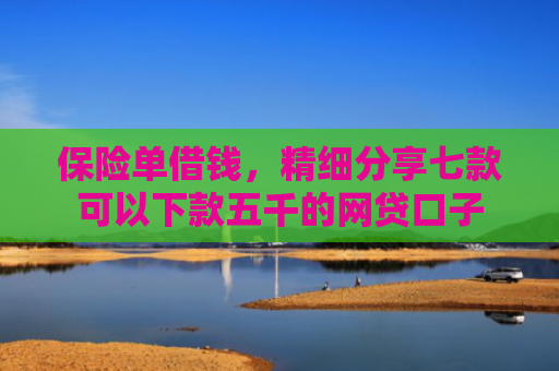 保险单借钱，精细分享七款可以下款五千的网贷口子