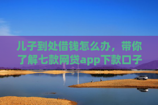 儿子到处借钱怎么办，带你了解七款网贷app下款口子