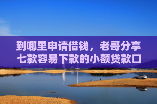 到哪里申请借钱，老哥分享七款容易下款的小额贷款口子