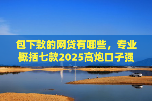 包下款的网贷有哪些，专业概括七款2025高炮口子强制下款网贷
