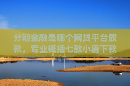 分期金融是哪个网贷平台放款，专业概括七款小唐下款王app里面的口子