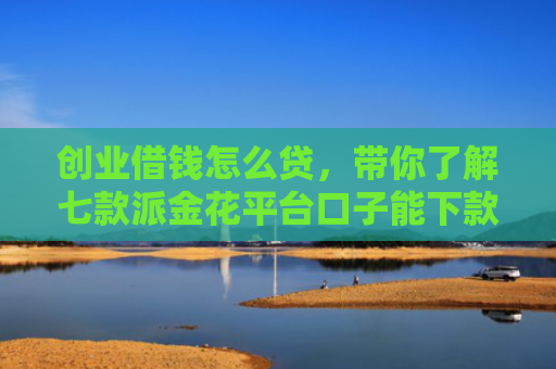 创业借钱怎么贷，带你了解七款派金花平台口子能下款吗