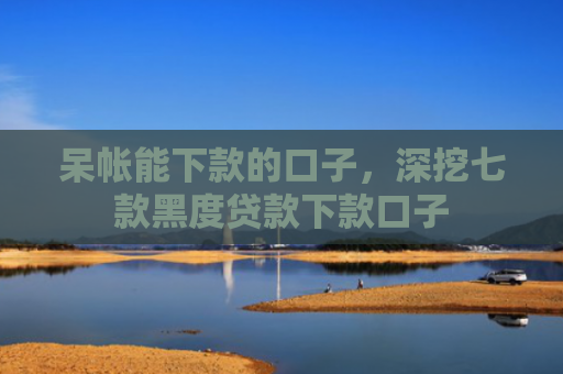呆帐能下款的口子，深挖七款黑度贷款下款口子