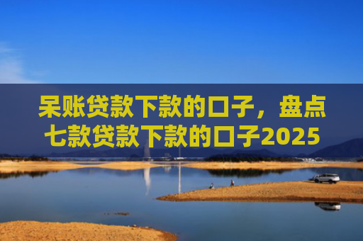 呆账贷款下款的口子，盘点七款贷款下款的口子2025