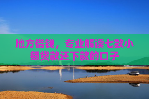 地方借钱，专业解读七款小额贷款还下款的口子