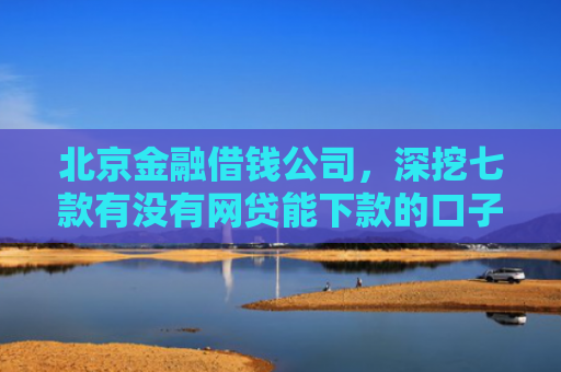 北京金融借钱公司，深挖七款有没有网贷能下款的口子