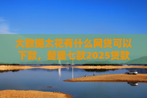 大数据太花有什么网贷可以下款，整理七款2025贷款下款口子