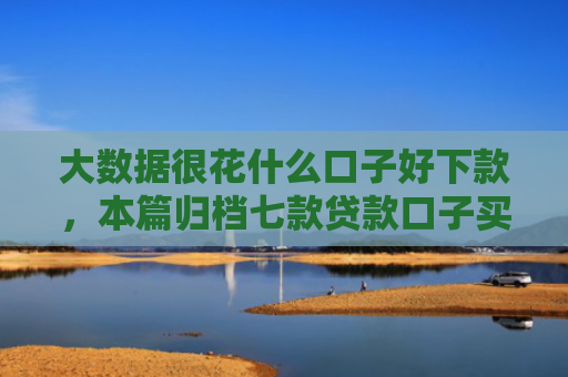 大数据很花什么口子好下款，本篇归档七款贷款口子买下款