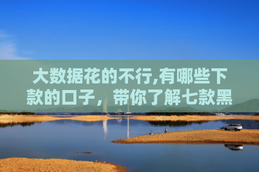 大数据花的不行,有哪些下款的口子，带你了解七款黑户贷款下款口子