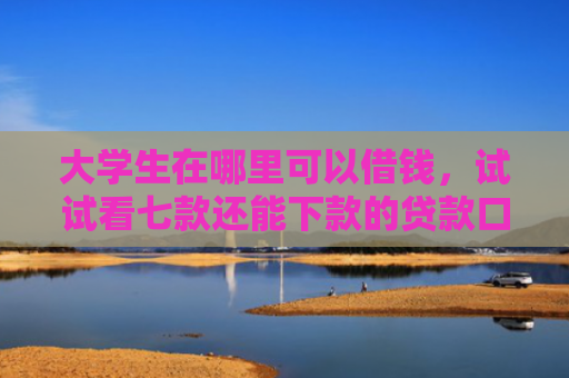大学生在哪里可以借钱，试试看七款还能下款的贷款口子
