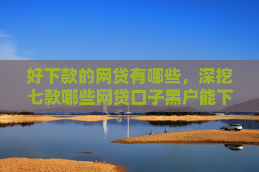 好下款的网贷有哪些，深挖七款哪些网贷口子黑户能下款