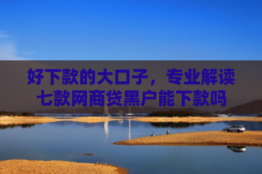 好下款的大口子，专业解读七款网商贷黑户能下款吗
