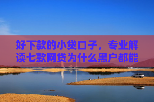 好下款的小贷口子，专业解读七款网贷为什么黑户都能下款