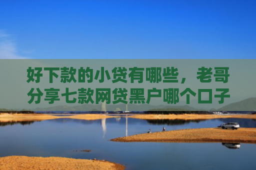 好下款的小贷有哪些，老哥分享七款网贷黑户哪个口子能下款