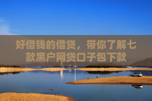 好借钱的借贷，带你了解七款黑户网贷口子包下款