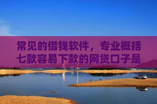 常见的借钱软件，专业概括七款容易下款的网贷口子是真的吗吗