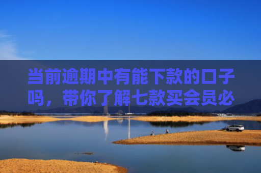 当前逾期中有能下款的口子吗，带你了解七款买会员必下款的贷款口子