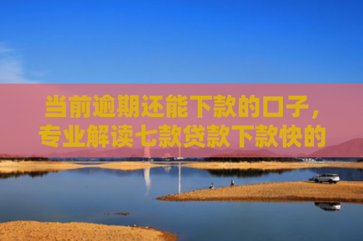 当前逾期还能下款的口子，专业解读七款贷款下款快的口子叫什么