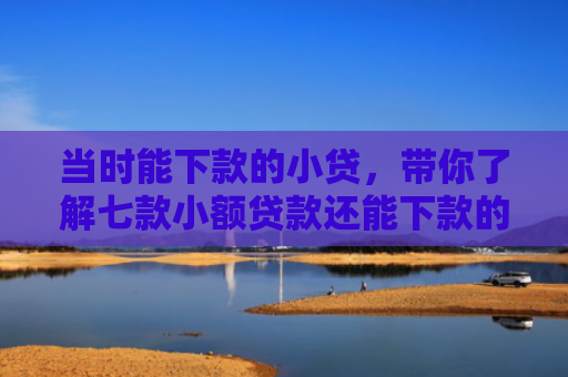 当时能下款的小贷，带你了解七款小额贷款还能下款的口子