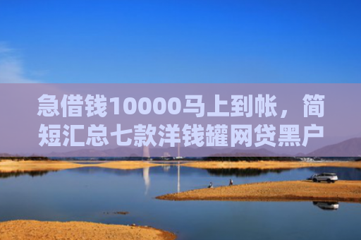 急借钱10000马上到帐，简短汇总七款洋钱罐网贷黑户能下款吗