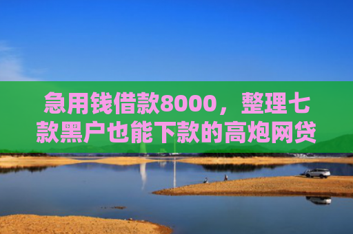 急用钱借款8000，整理七款黑户也能下款的高炮网贷