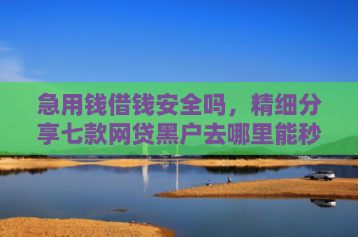 急用钱借钱安全吗，精细分享七款网贷黑户去哪里能秒下款