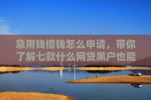 急用钱借钱怎么申请，带你了解七款什么网贷黑户也能下款啊