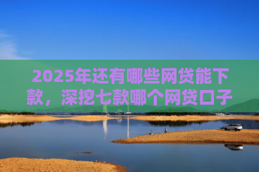 2025年还有哪些网贷能下款，深挖七款哪个网贷口子下款最快