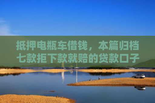 抵押电瓶车借钱，本篇归档七款拒下款就赔的贷款口子