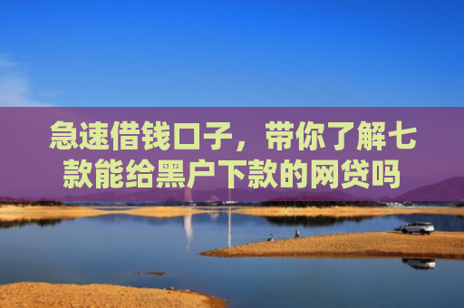 急速借钱口子，带你了解七款能给黑户下款的网贷吗