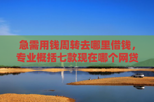 急需用钱周转去哪里借钱，专业概括七款现在哪个网贷黑户能下款