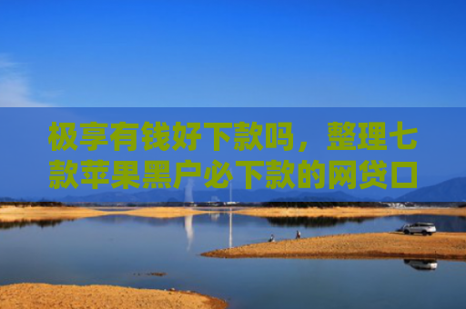 极享有钱好下款吗，整理七款苹果黑户必下款的网贷口子